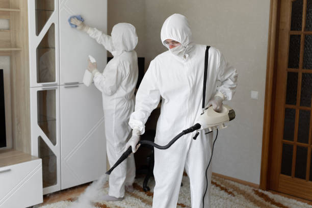24/7 Emergency Odor Removal experts in Altoona, FL